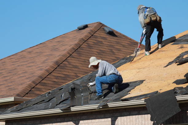 Best Chimney Flashing Repair  in Homer, MI